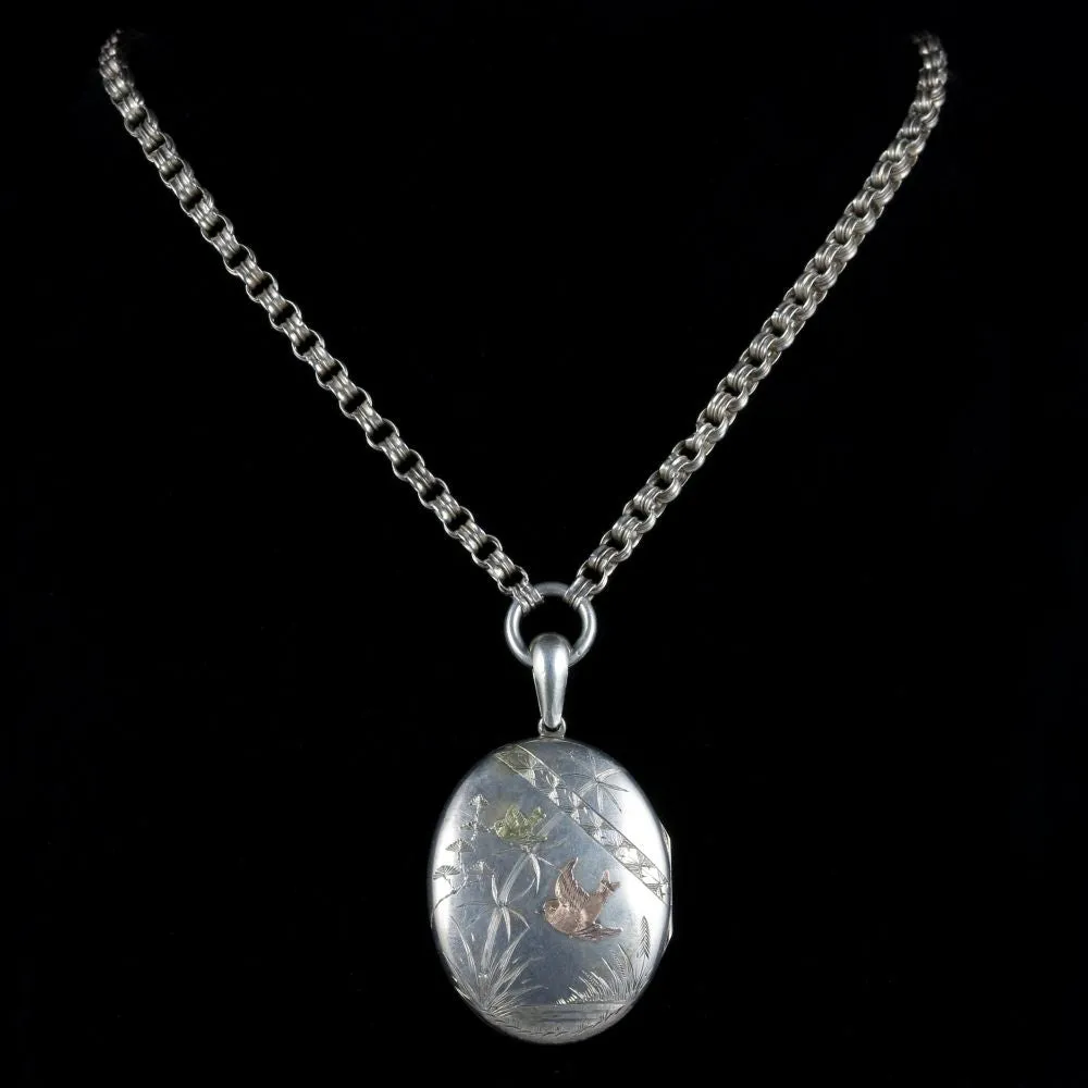 Antique Victorian Silver Gold Bird Locket And Collar
