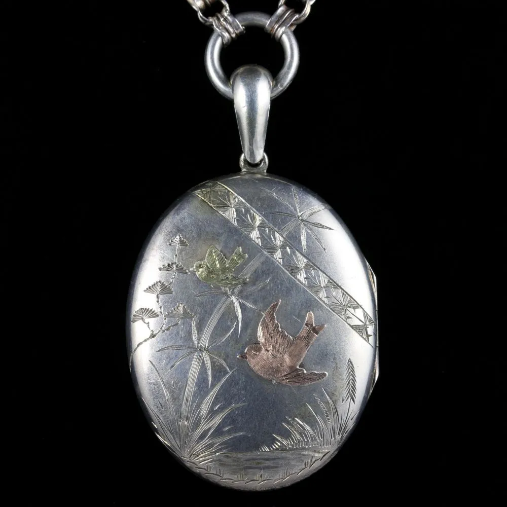 Antique Victorian Silver Gold Bird Locket And Collar