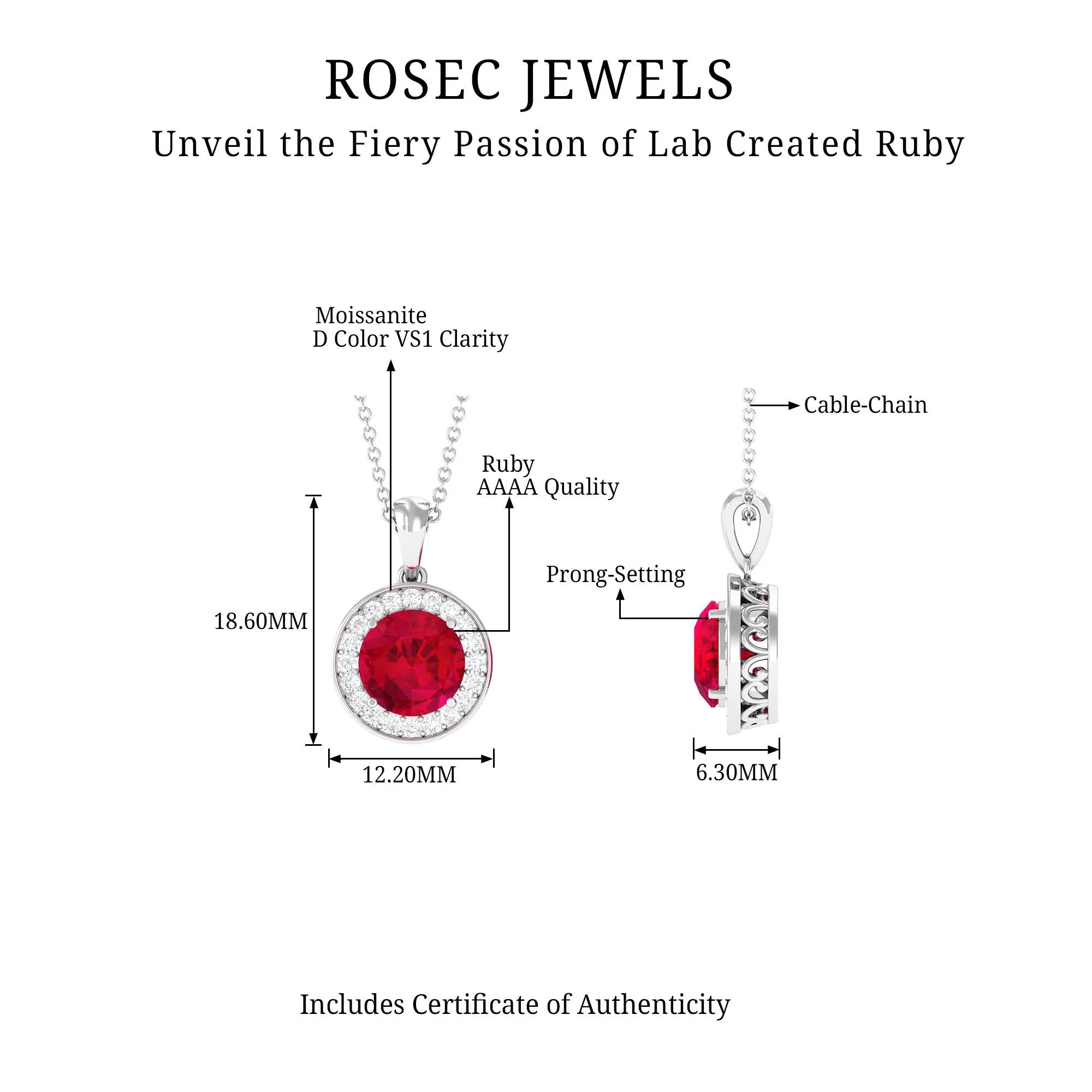 Created Ruby and Moissanite Classic Halo Pendant