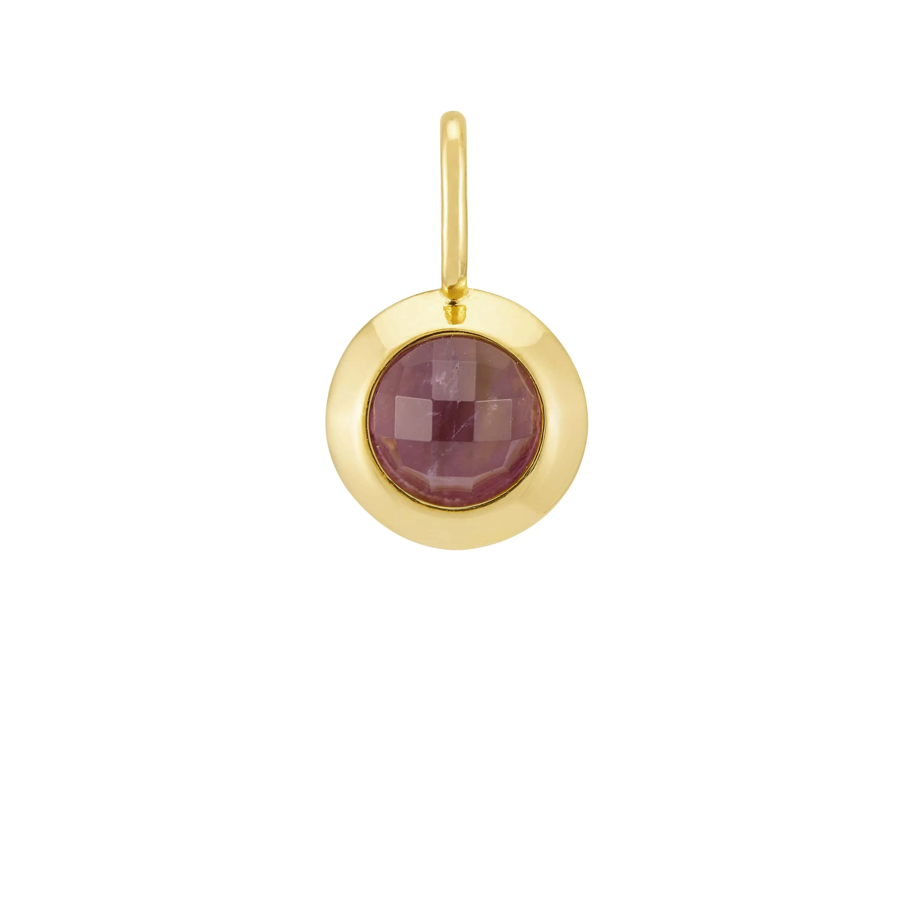 February Birthstone Charm