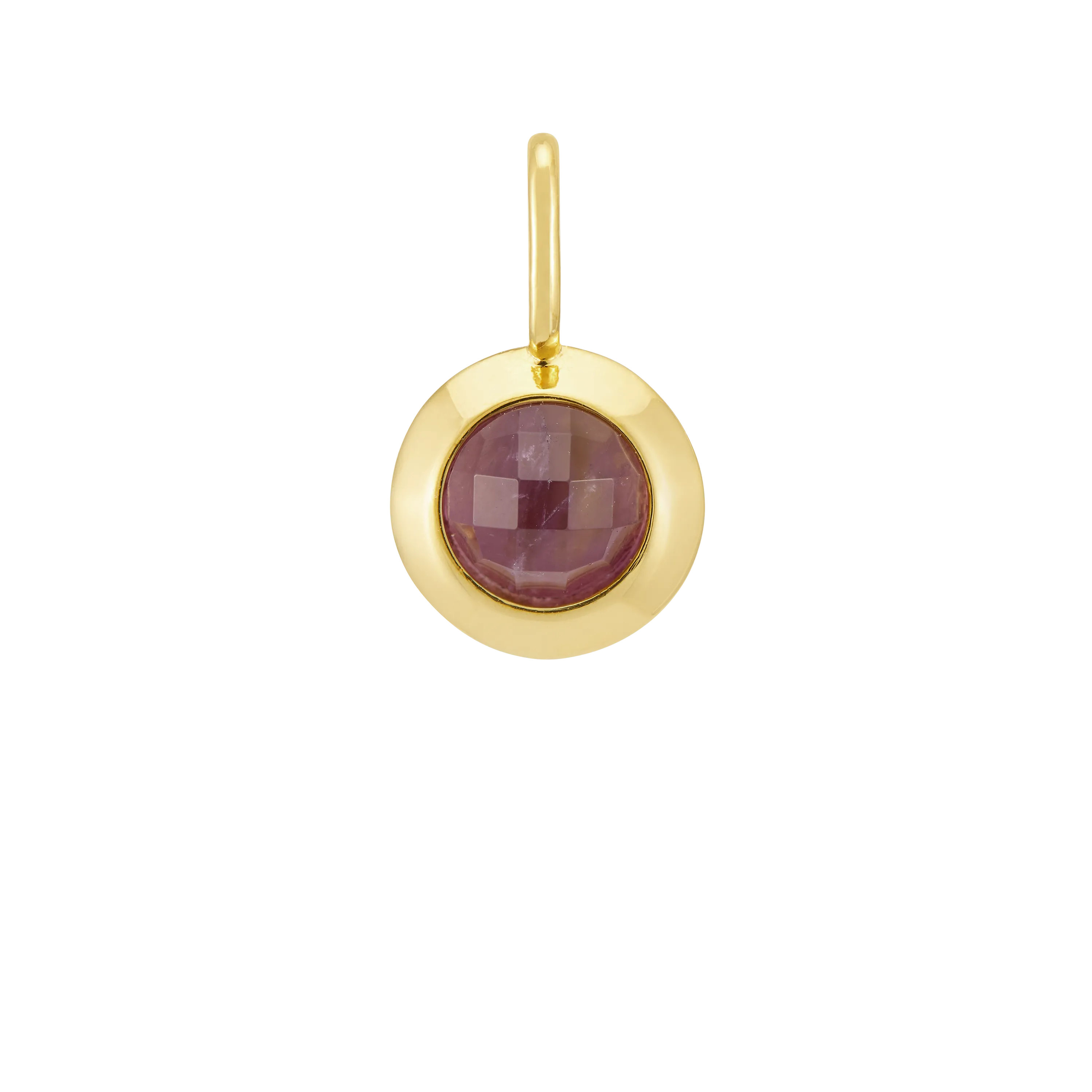 February Birthstone Charm
